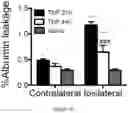 Fig. 20 - Therapeutic Targeting of Lipid Nanoparticles