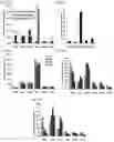 Fig. 23 - Therapeutic Targeting of Lipid Nanoparticles