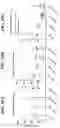 Fig. 19 - Gene therapy for treating peroxisomal disorders