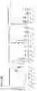 Fig. 24 - Gene therapy for treating peroxisomal disorders