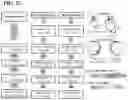 Fig. 25 - Gene therapy for treating peroxisomal disorders
