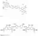 Fig. 08 - Staining Composition with Improved Staining Intensity