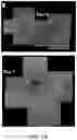 Fig. 03 - Methods for treating and diagnosing blinding eye diseases