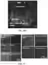 Fig. 25 - Methods for treating and diagnosing blinding eye diseases
