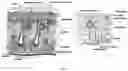 Fig. 02 - CELL SUSPENSION AND USE THEREOF