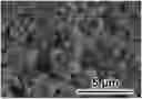 Fig. 01 - Method for producing calcium carbonate block