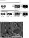 Fig. 02 - Method for producing calcium carbonate block