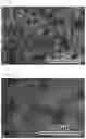 Fig. 03 - Method for producing calcium carbonate block
