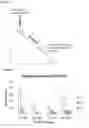 Fig. 09 - SCAFFOLDING MATERIAL, METHODS AND USES