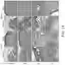 Fig. 20 - Scaffold