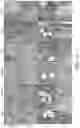 Fig. 25 - Scaffold