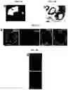 Fig. 03 - Generation of lung bud organoids with branching structures and uses thereof for lung disease modeling