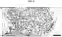 Fig. 18 - Generation of lung bud organoids with branching structures and uses thereof for lung disease modeling