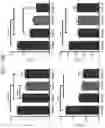 Fig. 22 - Method for regenerating the interverterbral disc with notochordal cells