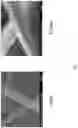 Fig. 09 - Dynamic bioactive bone graft material having an engineered porosity