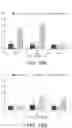 Fig. 15 - High strength biomedical materials