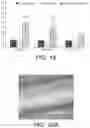 Fig. 16 - High strength biomedical materials