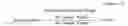 Fig. 03 - Self-Lubricating Medical Articles