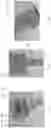 Fig. 27 - Device for subcutaneous delivery of fluid medicament