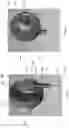 Fig. 37 - Device for subcutaneous delivery of fluid medicament