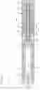 Fig. 19 - Injection spring for aged prefilled syringe and auto injector