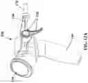 Fig. 15 - Multimodal endoscope and methods of use