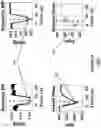 Fig. 06 - Non-invasive and selective bioelectronic control of blood pressure