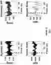 Fig. 11 - Non-invasive and selective bioelectronic control of blood pressure