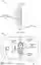 Fig. 12 - System for electrical stimulation