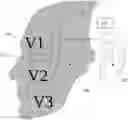 Fig. 01 - Methods and apparatuses for reducing bleeding via coordinated trigeminal and vagal nerve stimulation