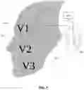 Fig. 02 - Methods and apparatuses for reducing bleeding via coordinated trigeminal and vagal nerve stimulation
