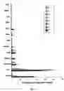 Fig. 05 - WATER SOLUBLE ANIONIC BACTERIOCHLOROPHYLL DERIVATIVES AND THEIR USES