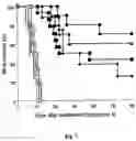 Fig. 06 - WATER SOLUBLE ANIONIC BACTERIOCHLOROPHYLL DERIVATIVES AND THEIR USES