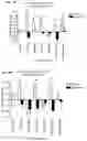 Fig. 19 - METHOD AND APPARATUS FOR PHOTOACTIVATING NUCLEAR RECEPTORS