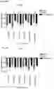 Fig. 29 - METHOD AND APPARATUS FOR PHOTOACTIVATING NUCLEAR RECEPTORS