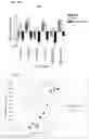 Fig. 32 - METHOD AND APPARATUS FOR PHOTOACTIVATING NUCLEAR RECEPTORS