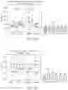 Fig. 13 - Neuromodulation techniques
