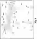 Fig. 09 - Portable firewall