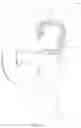 Fig. 11 - Olympic plate weighted vest