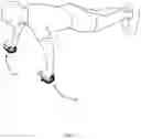 Fig. 18 - Exercise wrist aid