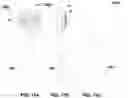 Fig. 20 - Device for displaying in response to a sensed motion