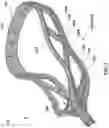 Fig. 04 - Lacrosse head with asymmetrical cross-struts
