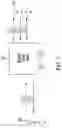 Fig. 02 - SYSTEM AND METHOD FOR STREAMING ELECTRONIC SPORTS