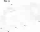 Fig. 10 - FEED SYSTEMS AND METHODS FOR ROTARY SCREEN SEPARATORS