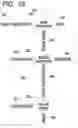 Fig. 11 - FEED SYSTEMS AND METHODS FOR ROTARY SCREEN SEPARATORS