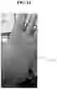 Fig. 12 - Resin composition preparation apparatus and polyurea resin composition prepared using the same