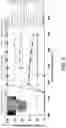 Fig. 07 - Catalytic process for oxidative coupling of methane