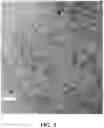 Fig. 03 - Methods for making oxygen reduction reaction catalysts formed of platinum alloy nanoparticles embedded in porous carbon