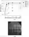 Fig. 14 - Robotic method for coating a multiwell plate by a polyelectrolyte multilayer film