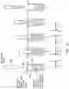 Fig. 31 - Integrated apparatus for performing nucleic acid extraction and diagnostic testing on multiple biological samples